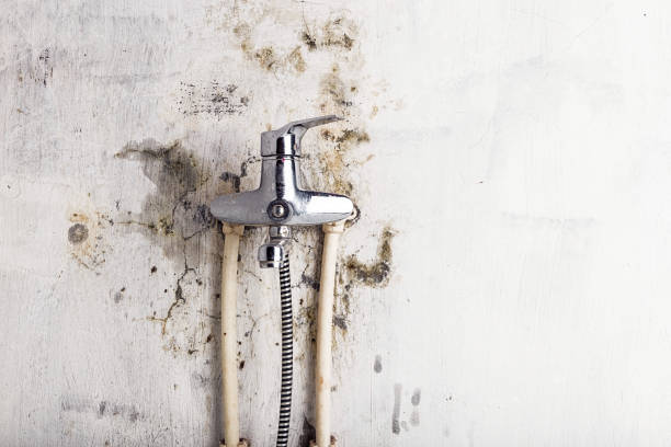  Ome, GA Mold Removal Pros