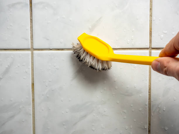 Best DIY Mold Remediation Support Services in Ome, GA