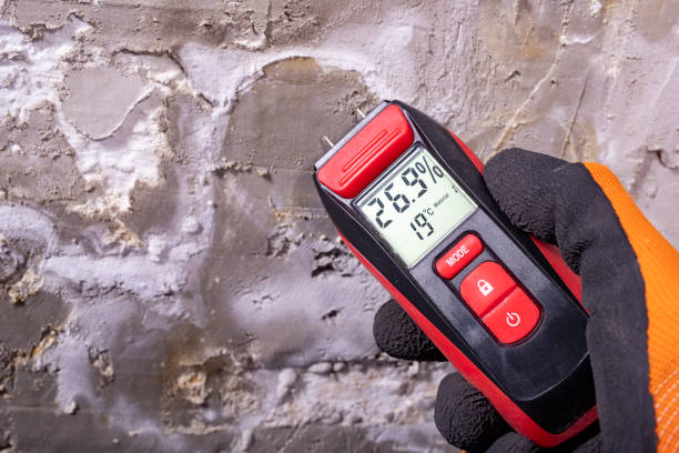 Omega, GA Mold Remediation Company