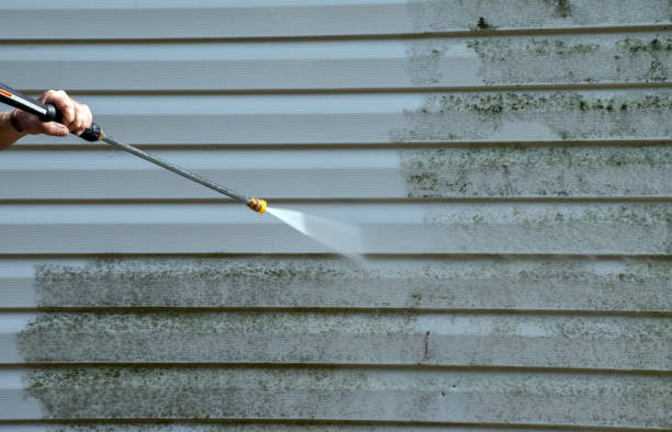 Best Mold Remediation for Specific Building Types in Ome, GA