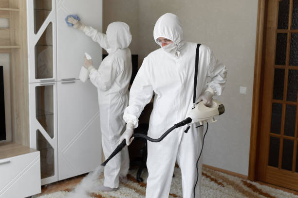 Best Post-Flood Mold Remediation in Ome, GA